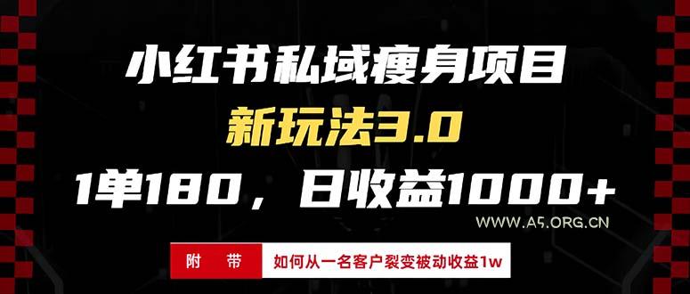 小红书瘦身项目3.0模式,新手小白日赚收益1000+(附从一名客户裂变收益…-A5资源网