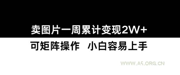 小红书【卖图片】一周累计变现2W+小白易上手-A5资源网