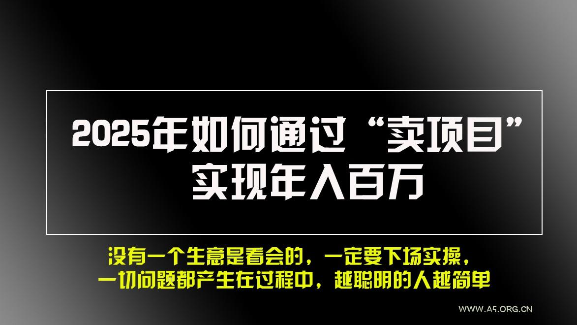2025年如何通过“卖项目”实现年入百万-A5资源网