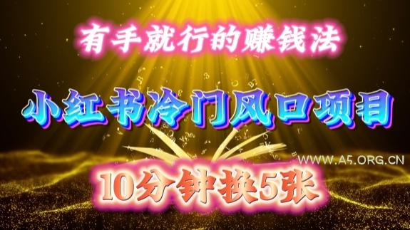 每天 10 分钟,小红书冷门风口项目开启,有手就行的搬运赚钱法,小白日入500 +【揭秘】-A5资源网