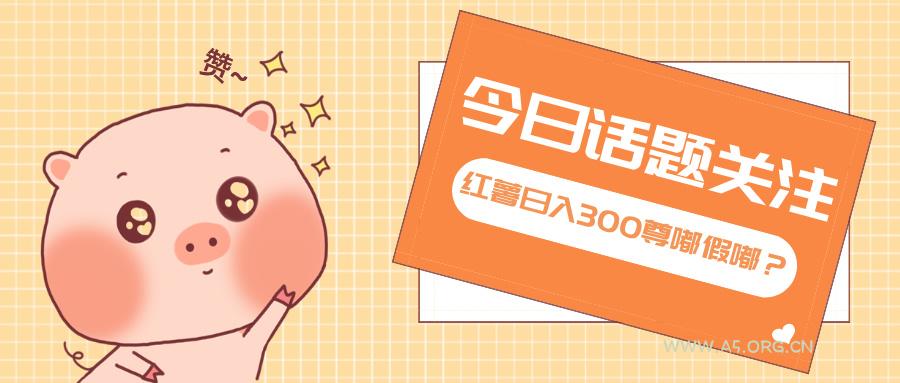 全新红薯浏览,打破常规 双端操作,每天运行6小时,让你获得工作以外的…-A5资源网