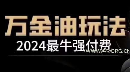 2024最牛强付费,万金油强付费玩法,干货满满,全程实操起飞(更新12月)-A5资源网