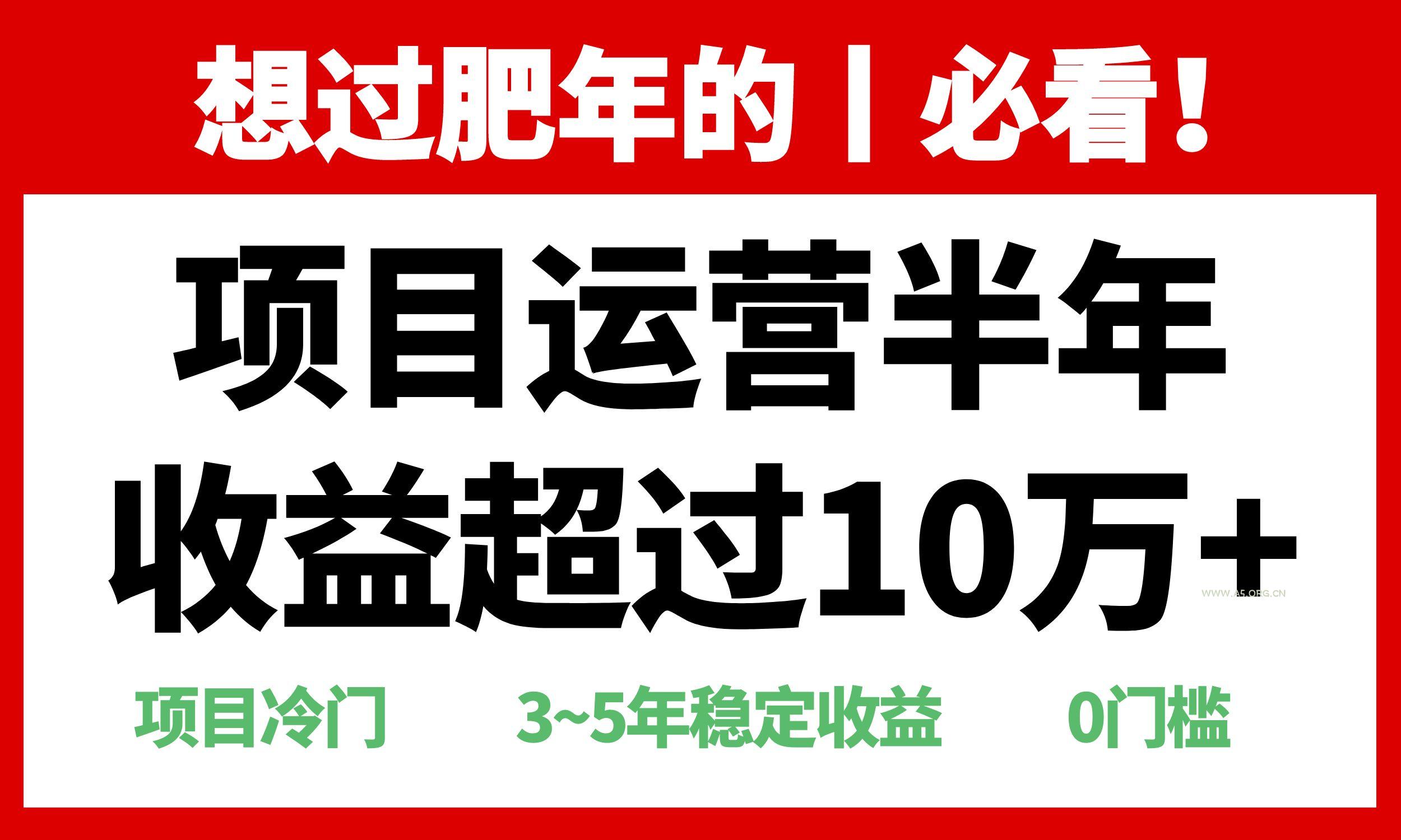 年前过肥年的必看的超冷门项目,半年收益超过10万+,-A5资源网