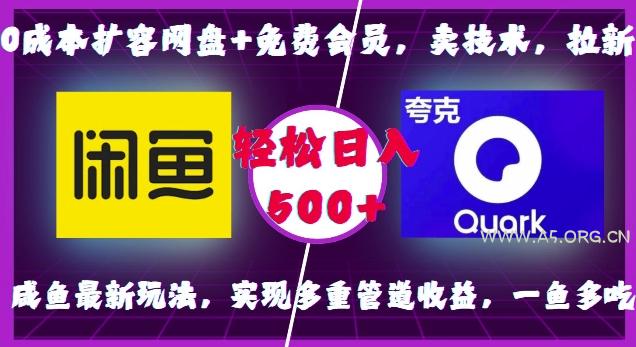 0成本扩容网盘+免费会员,卖技术,拉新,咸鱼最新玩法,实现多重管道收益,一鱼多吃,轻松日入500+-A5资源网