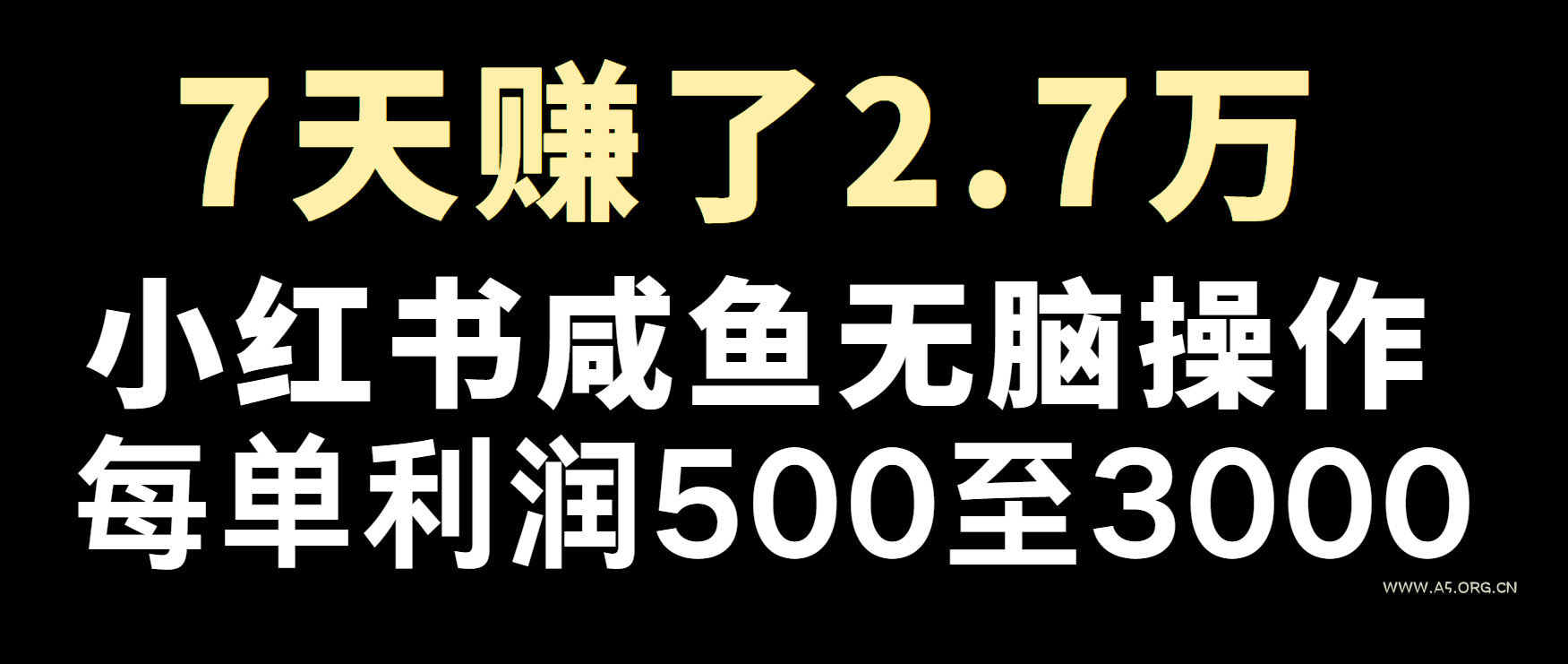 冷门暴利,超级简单的项目0成本玩法,每单在500至4000的利润-A5资源网