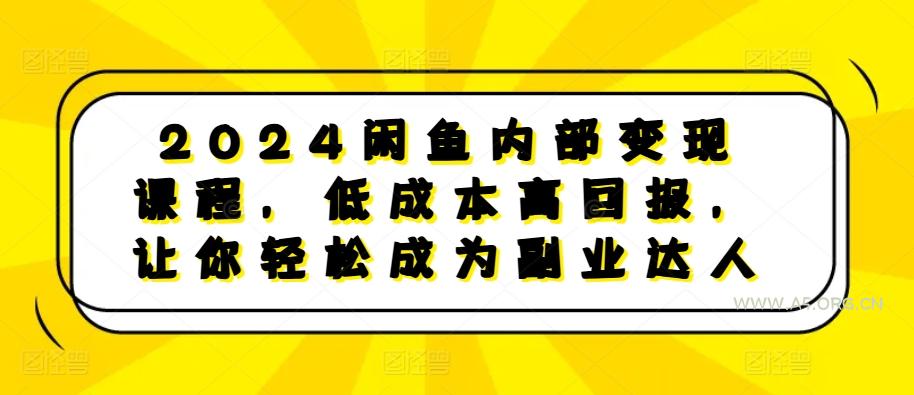 2024闲鱼内部变现课程,低成本高回报,让你轻松成为副业达人-A5资源网