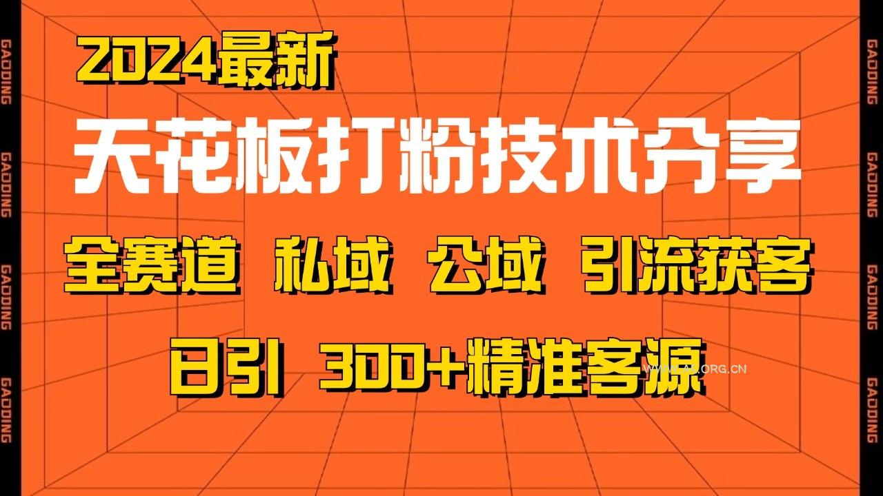 天花板打粉技术分享,野路子玩法 曝光玩法免费矩阵自热技术日引2000+精准客户-A5资源网
