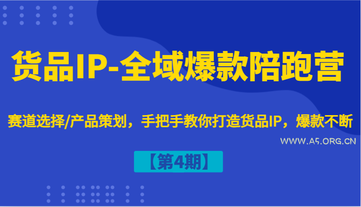货品IP-全域爆款陪跑营【第4期】赛道选择/产品策划,手把手教你打造货品IP,爆款不断-A5资源网
