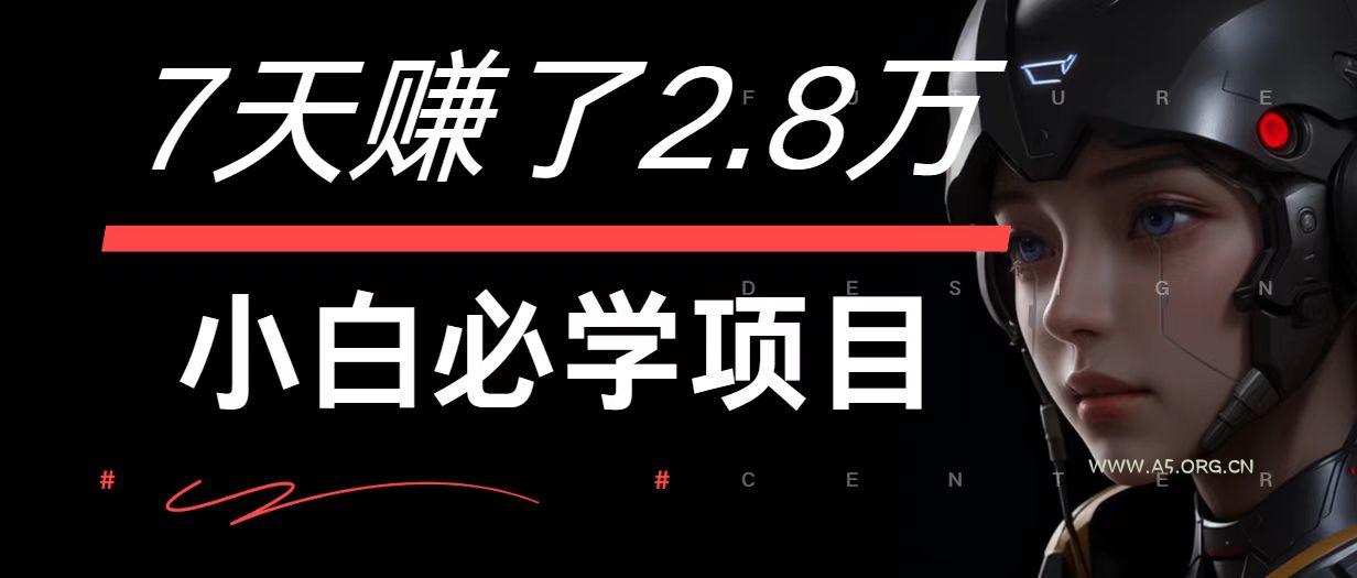 7天赚了2.8万!每单利润最少500+,轻松月入7万+小白有手就行-A5资源网