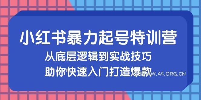 小红书暴力起号训练营,从底层逻辑到实战技巧,助你快速入门打造爆款-A5资源网