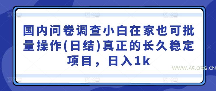 国内问卷调查小白在家也可批量操作(日结)真正的长久稳定项目，日入1k【揭秘】-A5资源网