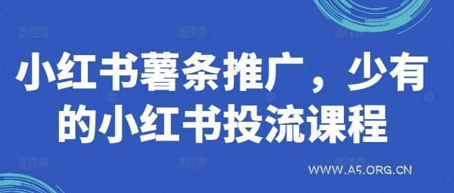 小红书薯条推广,少有的小红书投流课程-A5资源网