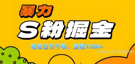 单人单机日引千粉,变现1k+,S粉流量掘金计划攻略【揭秘】-A5资源网