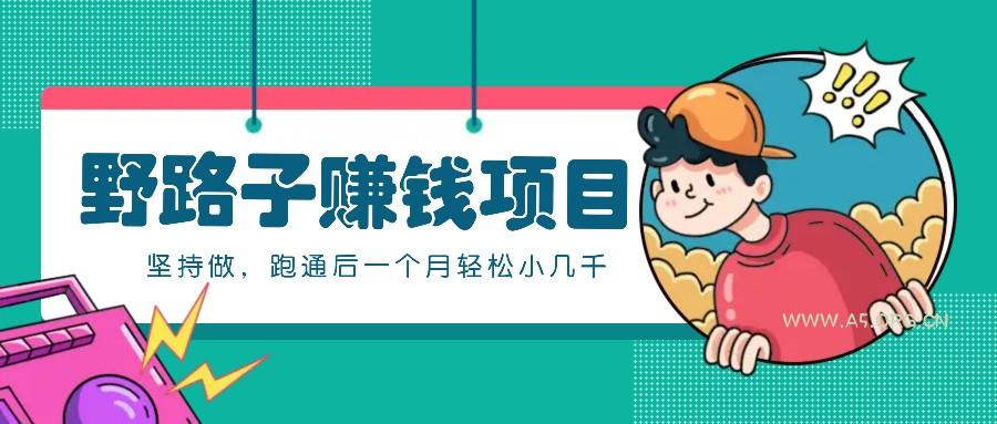 一个人就能操作的野路子赚钱项目,零成本零门槛坚持做,跑通后一个月小几千!-A5资源网