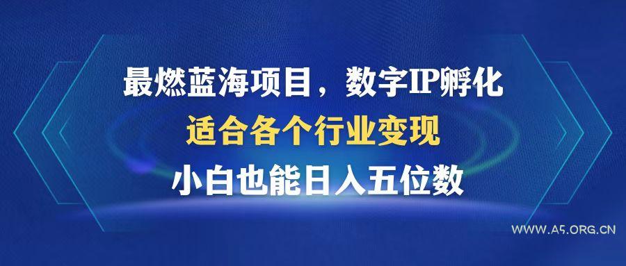 最燃蓝海项目  数字IP孵化  适合各个行业变现  小白也能日入5位数-A5资源网