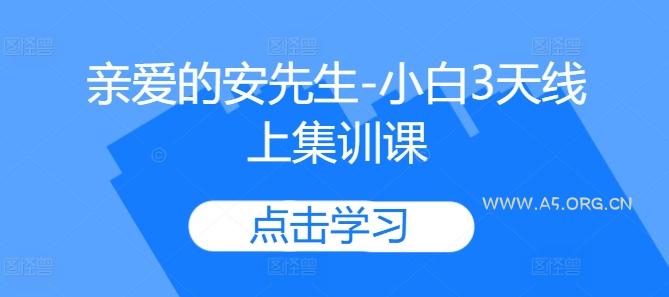 亲爱的安先生-小白3天线上集训课-A5资源网