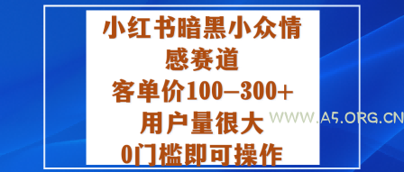 小红书暗黑小众情感赛道,客单价100-300+用户量很大,0门槛即可操作-A5资源网