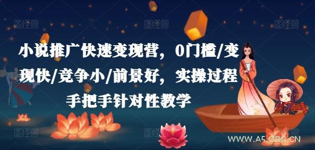 小说推广快速变现营,0门槛/变现快/竞争小/前景好,实操过程手把手针对性教学-A5资源网