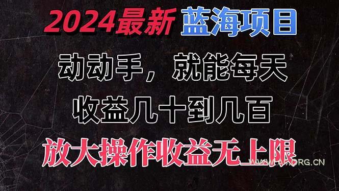 有手就行的2024全新蓝海项目,每天1小时收益几十到几百,可放大操作收…-A5资源网