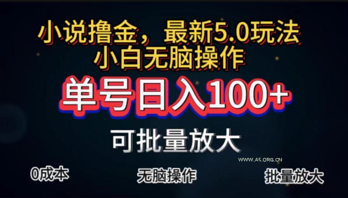 全自动小说撸金,单号日入100+小白轻松上手,无脑操作-A5资源网
