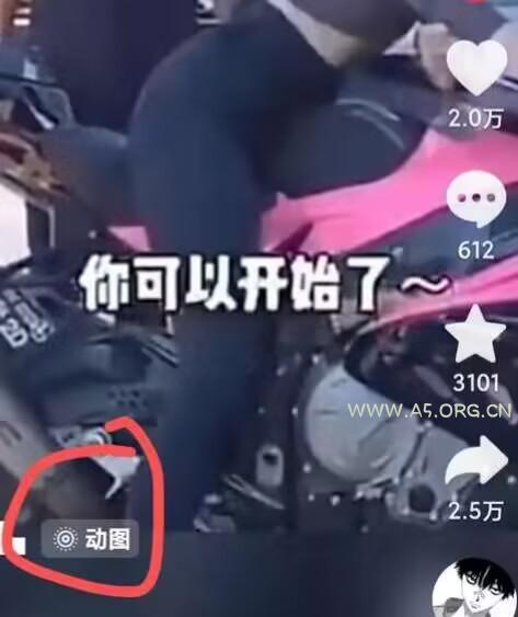 2024年7月苹果手机动图搬运技术 - A5资源网 2024年7月苹果手机动图搬运技术