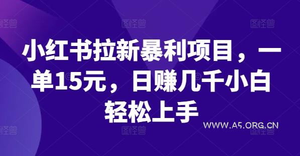 小红书拉新暴利项目,一单15元,日赚几千小白轻松上手【揭秘】-A5资源网