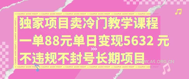 独家项目卖冷门教学课程一单88元单日变现5632元违规不封号长期项目【揭秘】-A5资源网