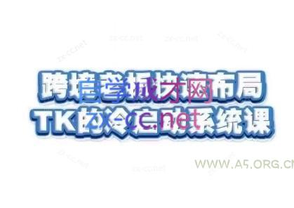 随新索创·跨境老板快速布局TikTok的冷启动系统课-A5资源网