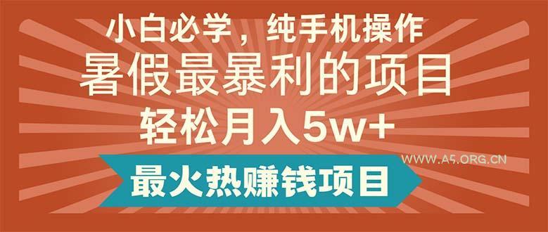 小白必学,纯手机操作,暑假最暴利的项目轻松月入5w+最火热赚钱项目-A5资源网