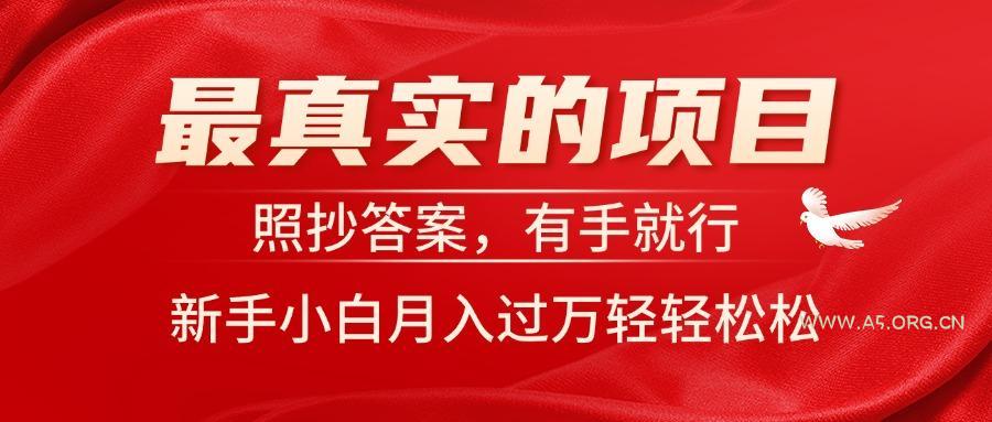 最真实的项目,照抄答案,有手就行,新手小白月入过万轻轻松松-A5资源网
