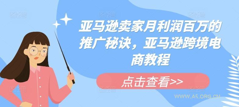 亚马逊卖家月利润百万的推广秘诀,亚马逊跨境电商教程-A5资源网