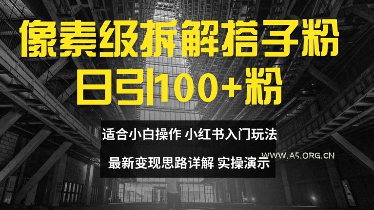 像素级拆解搭子粉,日引100+,小白看完可上手,最新变现思路详解【揭秘】-A5资源网