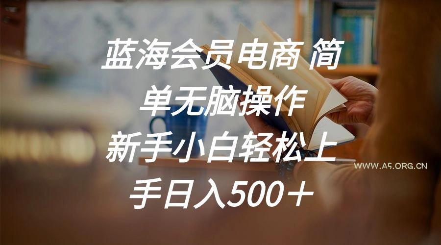 蓝海会员电商 简单无脑操作 新手小白轻松上手日入500+-A5资源网