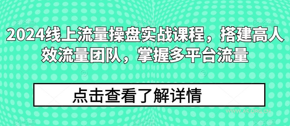 2024线上流量操盘实战课程,搭建高人效流量团队,掌握多平台流量-A5资源网