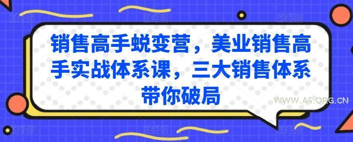 销售高手蜕变营,美业销售高手实战体系课,三大销售体系带你破局-A5资源网