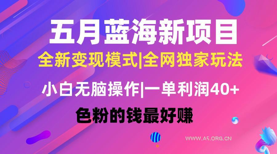 五月蓝海项目全新玩法,小白无脑操作,一天几分钟,矩阵操作,月入4万+-A5资源网