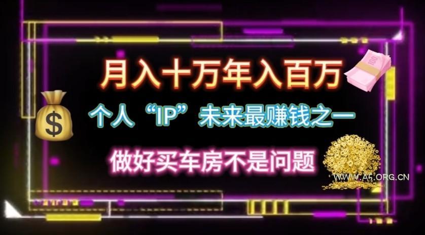 个人“ip”月入10w，年入100w-A5资源网
