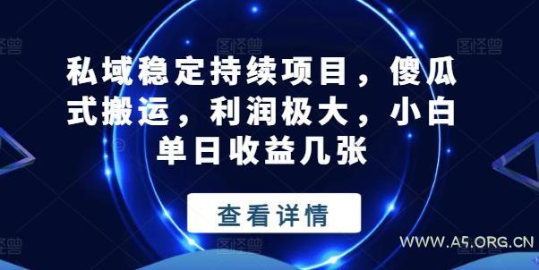 私域稳定持续项目,傻瓜式搬运,利润极大,小白单日收益几张【揭秘】-A5资源网