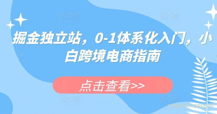 掘金独立站,0-1体系化入门,小白跨境电商指南-A5资源网