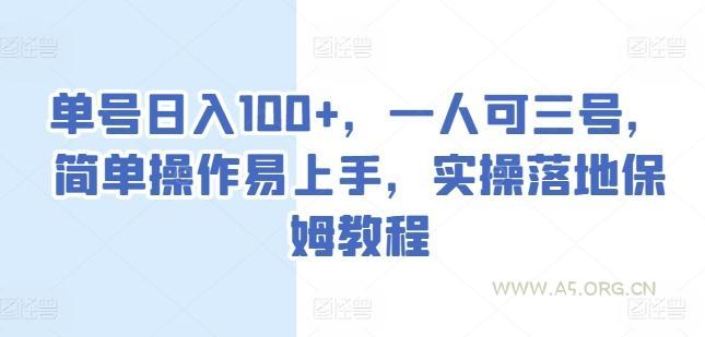 单号日入100+,一人可三号,简单操作易上手,实操落地保姆教程【揭秘】-A5资源网