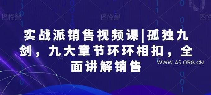 实战派销售视频课|孤独九剑,九大章节环环相扣,全面讲解销售-A5资源网