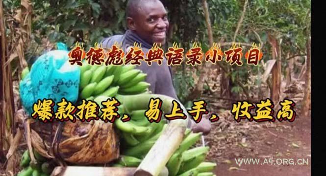 奥德彪经典语录小项目,爆款推荐,易上手,收益高-A5资源网