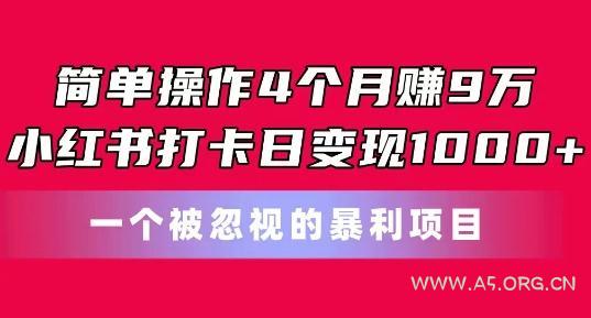 简单操作4个月赚9w,小红书打卡日变现1k,一个被忽视的暴力项目【揭秘】-A5资源网