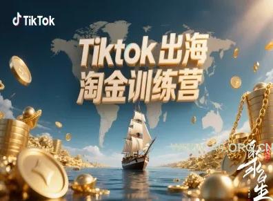 Tiktok出海淘金训练营,跨境电商TK实战变现-A5资源网