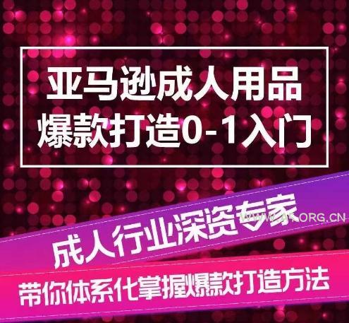 亚马逊成人用品爆款打造0-1入门,系统化讲解亚马逊成人用品爆款打造的流程-A5资源网