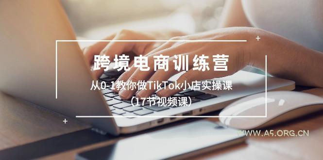 跨境电商训练营：从0-1教你做TikTok小店实操课(17节视频课-A5资源网
