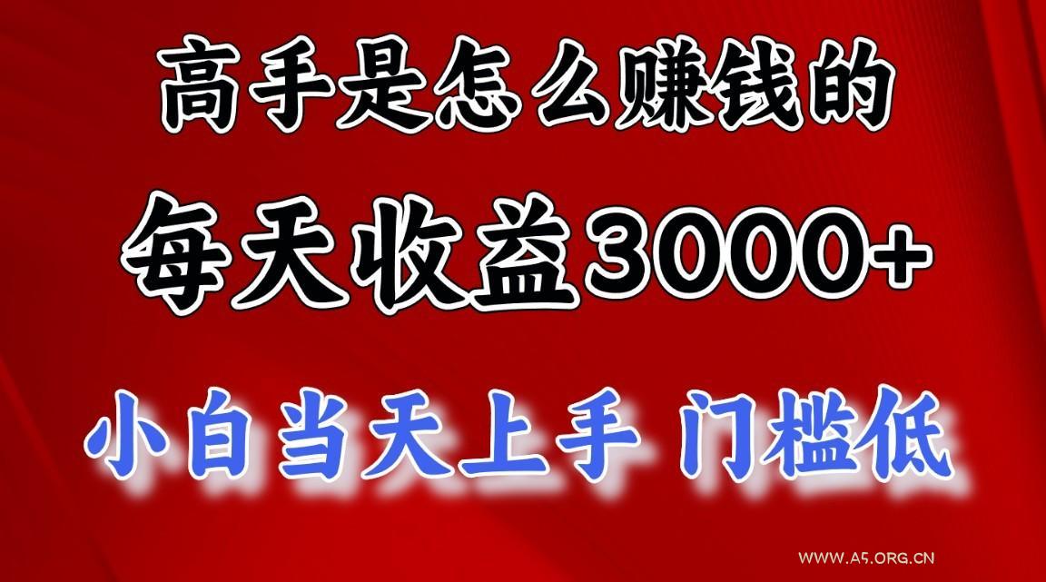 高手是怎么赚钱的,一天收益3000+,闷声发财项目,不是一般人能看懂的-A5资源网