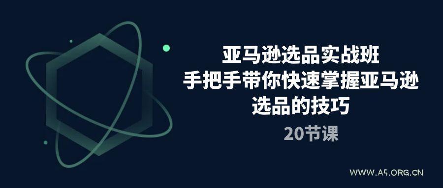 亚马逊选品实战班,手把手带你快速掌握亚马逊选品的技巧(20节课-A5资源网