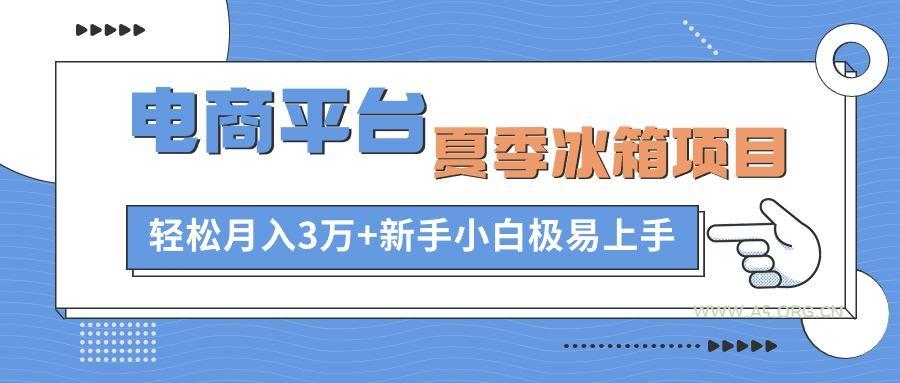 电商平台夏季冰箱项目,轻松月入3万+,新手小白极易上手-A5资源网