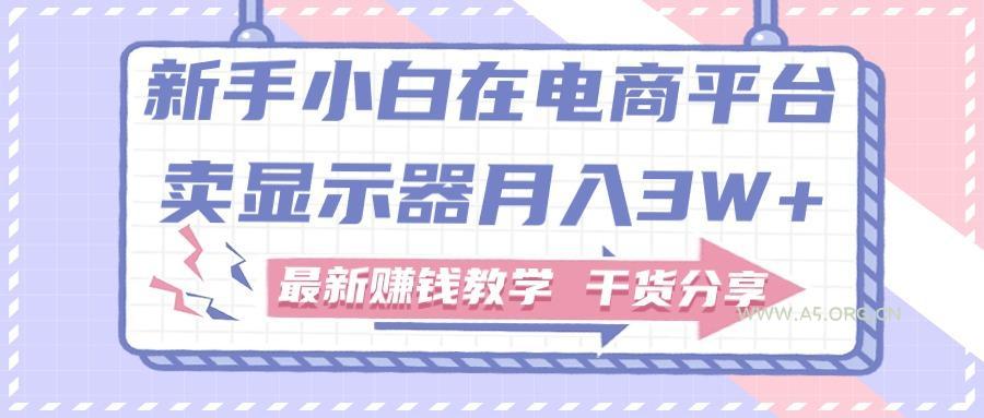 新手小白如何做到在电商平台卖显示器月入3W+,最新赚钱教学干货分享-A5资源网